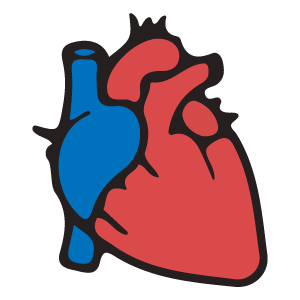 酒精中毒对心脏的长期影响