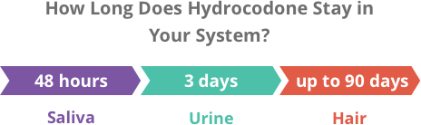 你体内能检测到氢可酮多久?