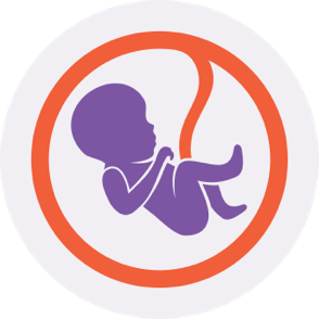 子宫里的胎儿图标