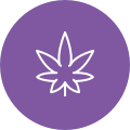 紫色大麻叶图标