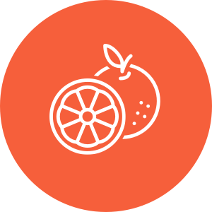 橙子水果半图标