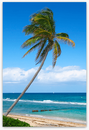 棕榈滩-海滩，水和天气