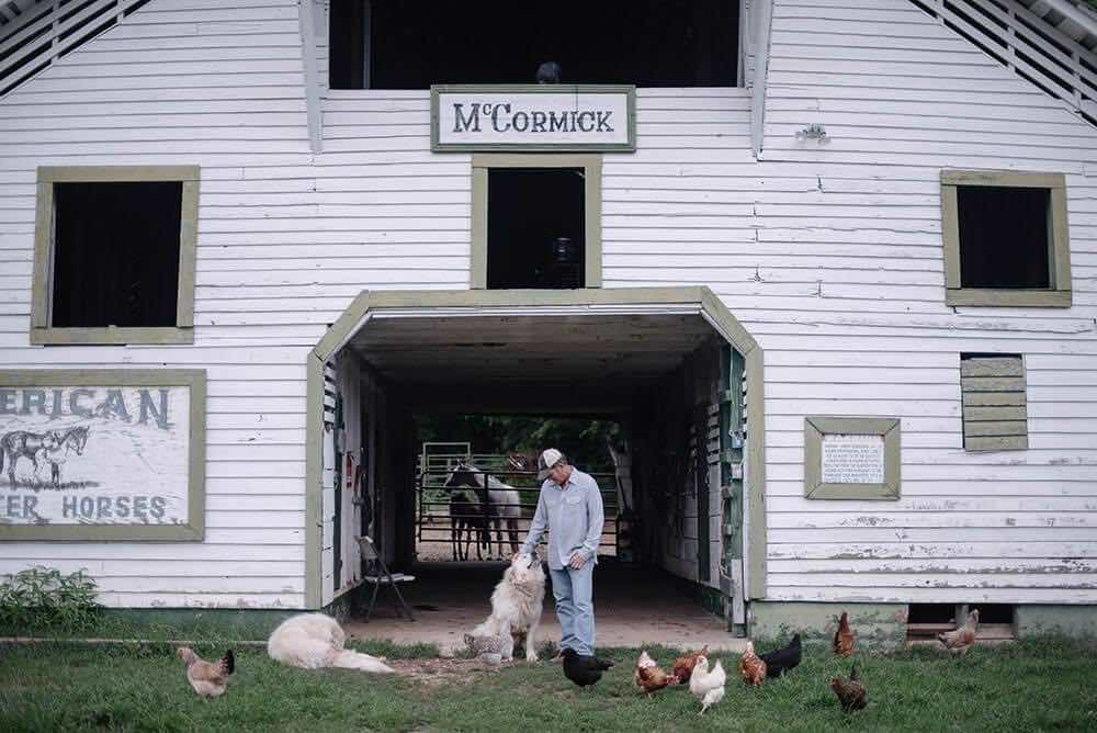 李·麦考密克（Lee McCormick）在他的谷仓里用农场动物